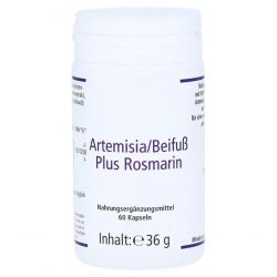 Артемизинин 150 мг капс. 60шт в Орле и области фото
