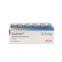 Гутрон таблетки 2,5 мг. №20 в Орле и области фото